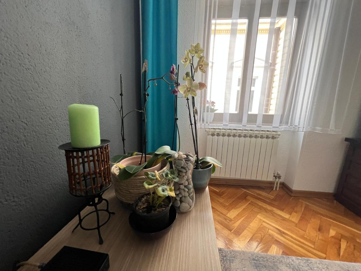 Djana Apartment 사라예보 외부 사진